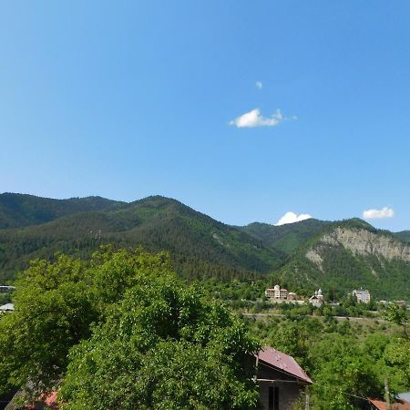 Akaki'S Guesthouse Borjomi Ngoại thất bức ảnh