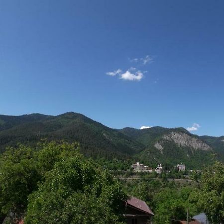 Akaki'S Guesthouse Borjomi Ngoại thất bức ảnh