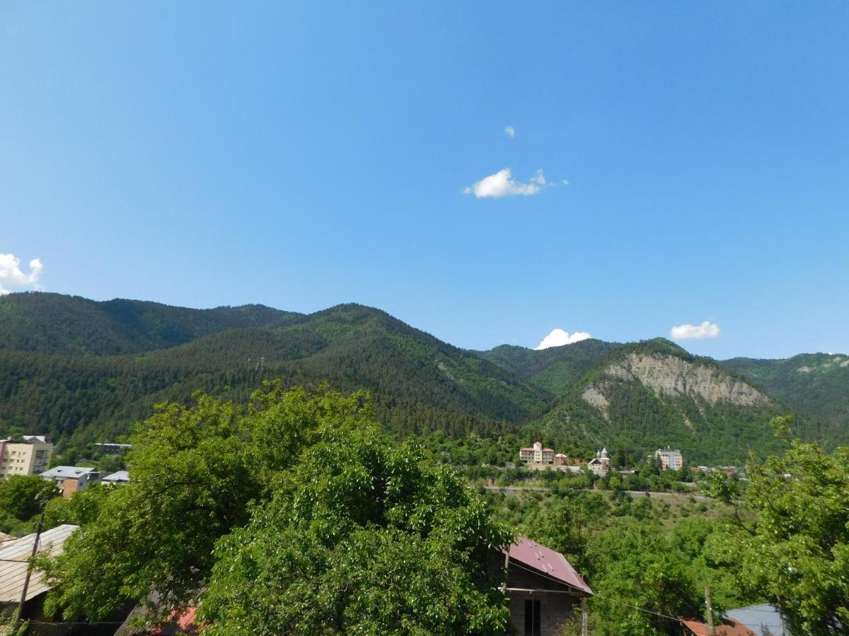 Akaki'S Guesthouse Borjomi Ngoại thất bức ảnh