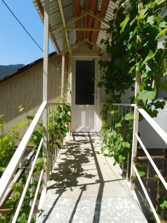 Akaki'S Guesthouse Borjomi Ngoại thất bức ảnh