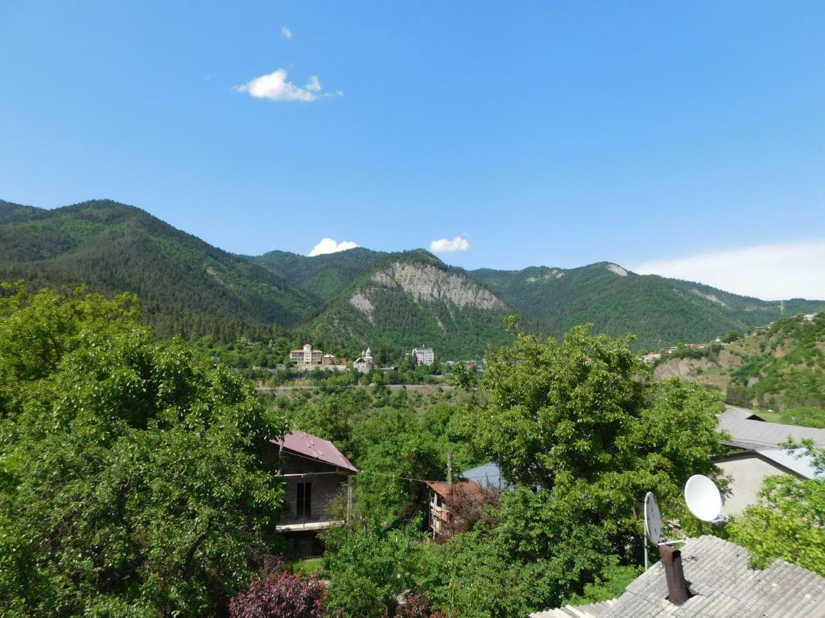 Akaki'S Guesthouse Borjomi Ngoại thất bức ảnh